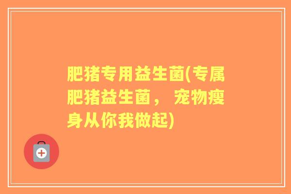 肥猪专用益生菌(专属肥猪益生菌， 宠物瘦身从你我做起)