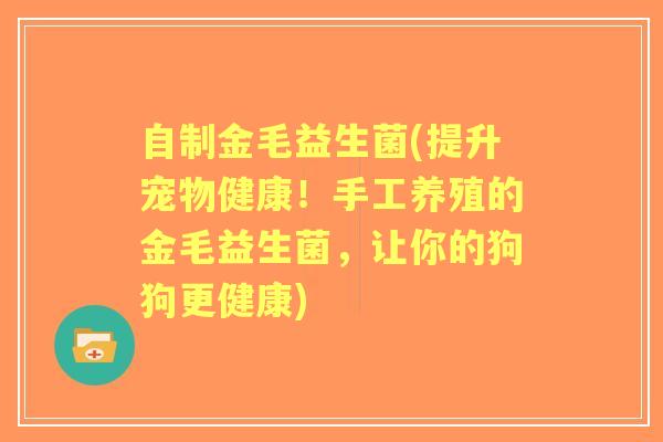自制金毛益生菌(提升宠物健康！手工养殖的金毛益生菌，让你的狗狗更健康)