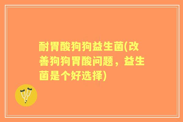 耐胃酸狗狗益生菌(改善狗狗胃酸问题,益生菌是个好选择) 耐胃酸狗狗益生菌(改善狗狗胃酸问题,益生菌是个好选择)