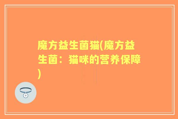 魔方益生菌猫(魔方益生菌:猫咪的营养保障) 魔方益生菌猫(魔方益生菌:猫咪的营养保障)