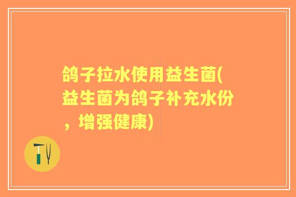 鸽子拉水使用益生菌(益生菌为鸽子补充水份，增强健康)