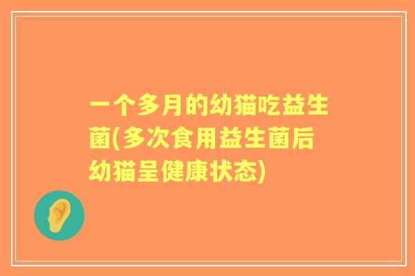 一个多月的幼猫吃益生菌(多次食用益生菌后幼猫呈健康状态)