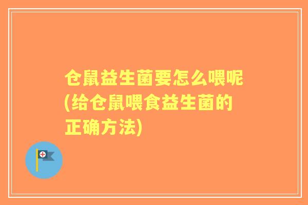 仓鼠益生菌要怎么喂呢(给仓鼠喂食益生菌的正确方法)