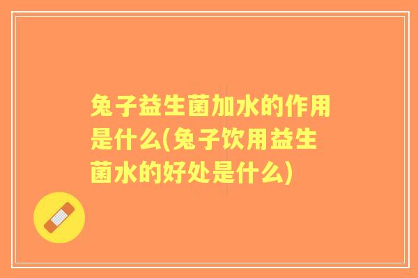 兔子益生菌加水的作用是什么(兔子饮用益生菌水的好处是什么)
