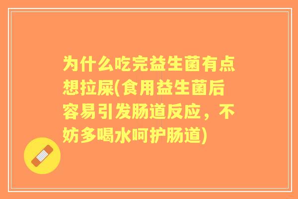 为什么吃完益生菌有点想拉屎(食用益生菌后容易引发肠道反应,不妨多喝水呵护肠道) 为什么吃完益生菌有点想拉屎(食用益生菌后容易引发肠道反应,不妨多喝水呵护肠道)