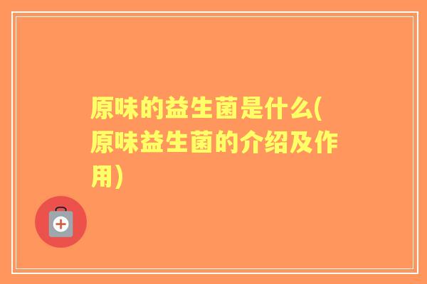 原味的益生菌是什么(原味益生菌的介绍及作用)