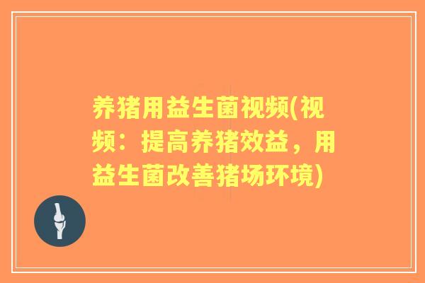 养猪用益生菌视频(视频：提高养猪效益，用益生菌改善猪场环境)