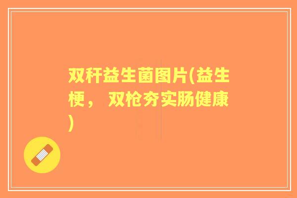 双秆益生菌图片(益生梗， 双枪夯实肠健康)