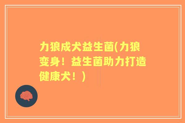 力狼成犬益生菌(力狼变身!益生菌助力打造健康犬!) 力狼成犬益生菌(力狼变身!益生菌助力打造健康犬!)