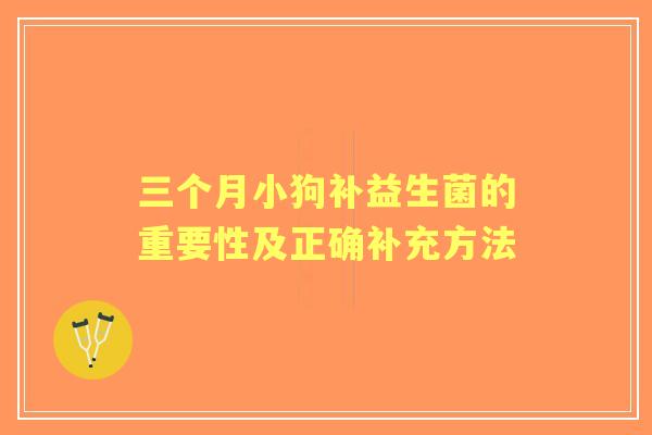 三个月小狗补益生菌的重要性及正确补充方法