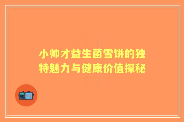 小帅才益生菌雪饼的独特魅力与健康价值探秘