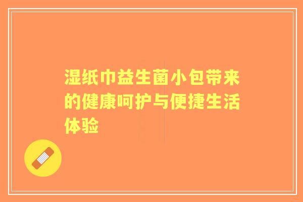 湿纸巾益生菌小包带来的健康呵护与便捷生活体验 湿纸巾益生菌小包带来的健康呵护与便捷生活体验