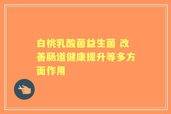 白桃乳酸菌益生菌 改善肠道健康提升等多方面作用