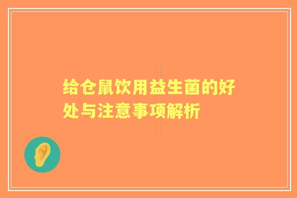 给仓鼠饮用益生菌的好处与注意事项解析