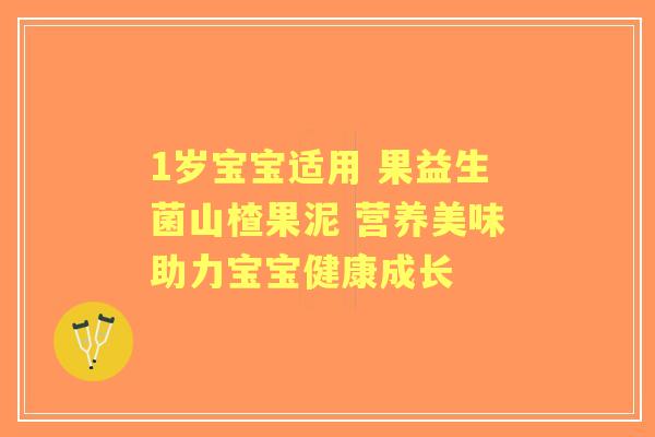 1岁宝宝适用 果益生菌山楂果泥 营养美味助力宝宝健康成长