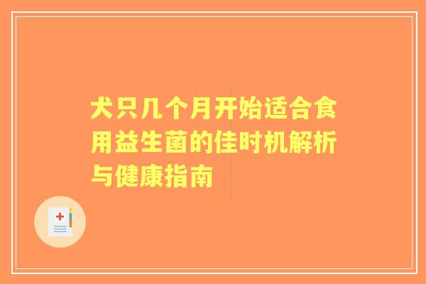 犬只几个月开始适合食用益生菌的佳时机解析与健康指南