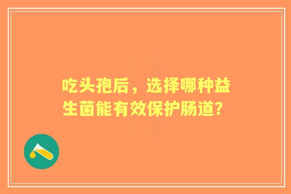 吃头孢后，选择哪种益生菌能有效保护肠道？