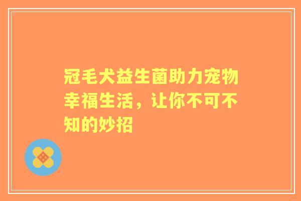 冠毛犬益生菌助力宠物幸福生活，让你不可不知的妙招