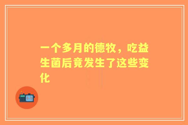 一个多月的德牧，吃益生菌后竟发生了这些变化