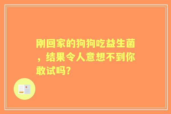 刚回家的狗狗吃益生菌,结果令人意想不到你敢试吗? 刚回家的狗狗吃益生菌,结果令人意想不到你敢试吗?