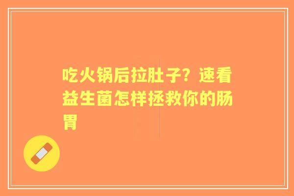 吃火锅后拉肚子？速看益生菌怎样拯救你的肠胃