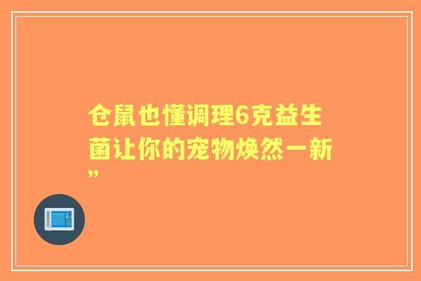 仓鼠也懂调理6克益生菌让你的宠物焕然一新”