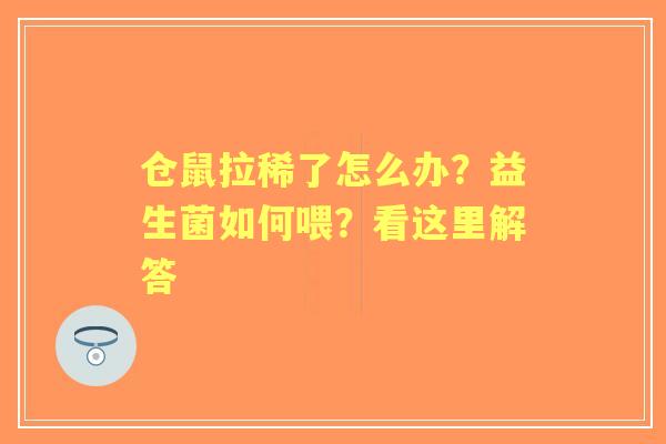 仓鼠拉稀了怎么办？益生菌如何喂？看这里解答