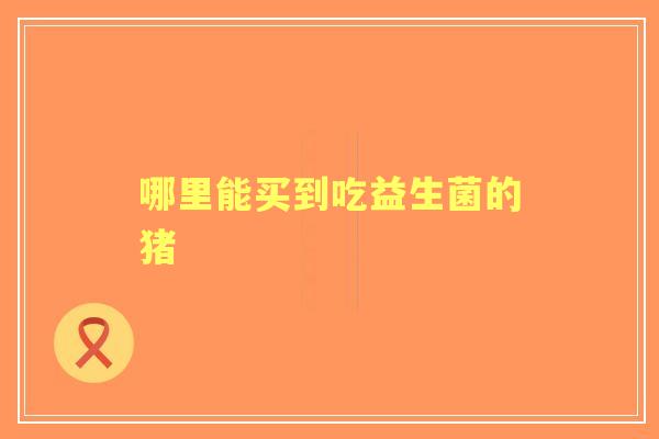 哪里能买到吃益生菌的猪