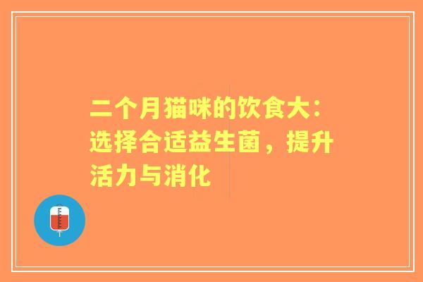 二个月猫咪的饮食大：选择合适益生菌，提升活力与消化