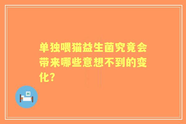 单独喂猫益生菌究竟会带来哪些意想不到的变化？
