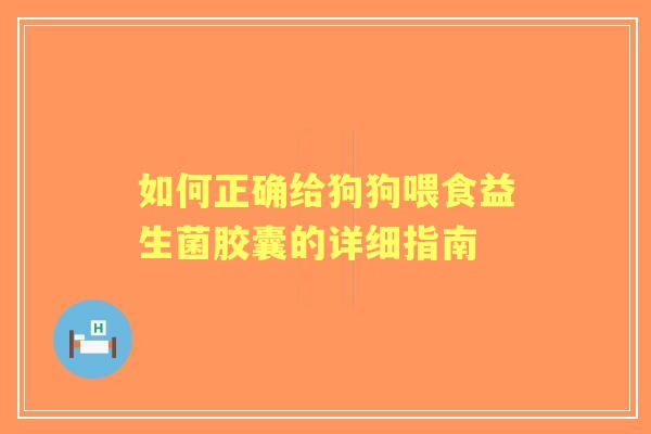 如何正确给狗狗喂食益生菌胶囊的详细指南