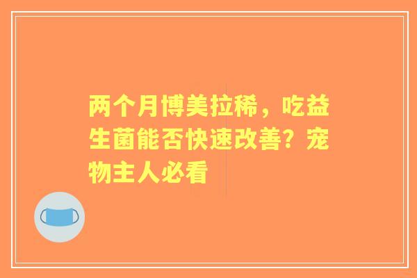 两个月博美拉稀，吃益生菌能否快速改善？宠物主人必看