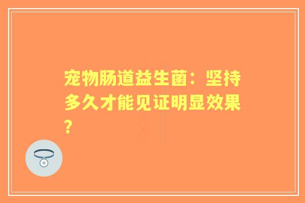 宠物肠道益生菌：坚持多久才能见证明显效果？