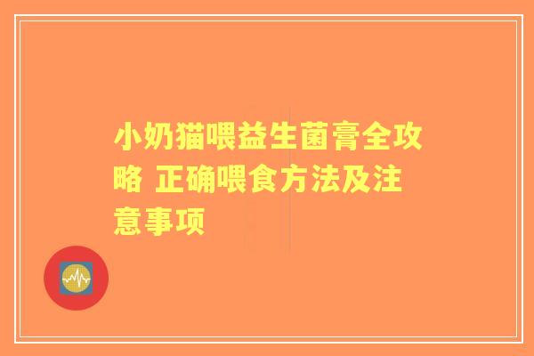 小奶猫喂益生菌膏全攻略 正确喂食方法及注意事项