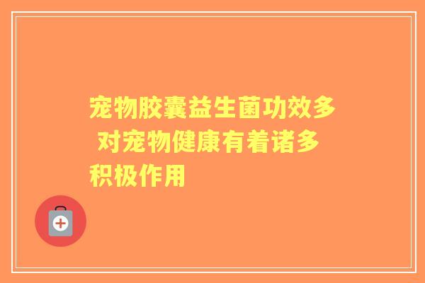 宠物胶囊益生菌功效多 对宠物健康有着诸多积极作用