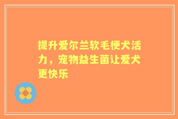 提升爱尔兰软毛梗犬活力，宠物益生菌让爱犬更快乐