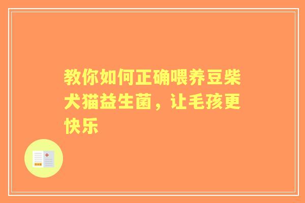 教你如何正确喂养豆柴犬猫益生菌,让毛孩更快乐 教你如何正确喂养豆柴犬猫益生菌,让毛孩更快乐