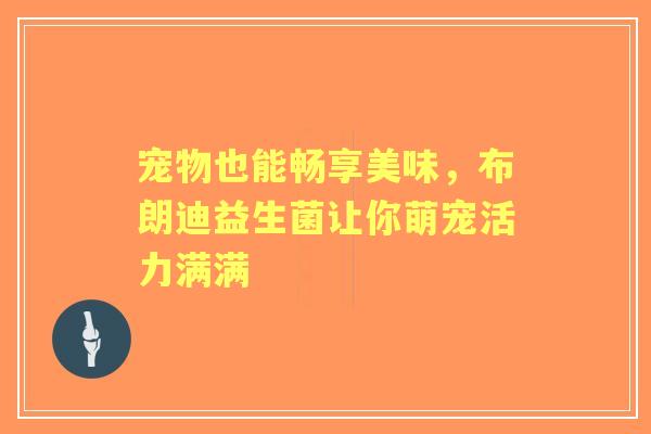 宠物也能畅享美味，布朗迪益生菌让你萌宠活力满满