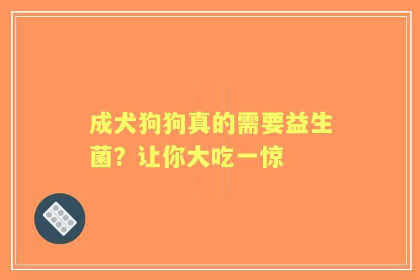 成犬狗狗真的需要益生菌？让你大吃一惊