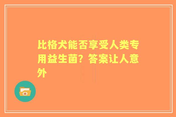 比格犬能否享受人类专用益生菌？答案让人意外