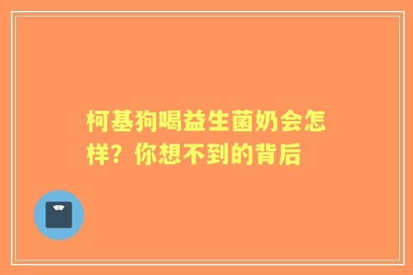 柯基狗喝益生菌奶会怎样？你想不到的背后