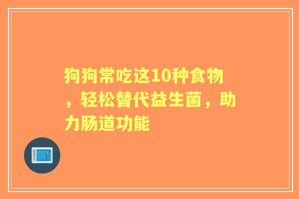 狗狗常吃这10种食物，轻松替代益生菌，助力肠道功能