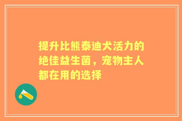提升比熊泰迪犬活力的绝佳益生菌，宠物主人都在用的选择