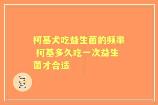 柯基犬吃益生菌的频率 柯基多久吃一次益生菌才合适