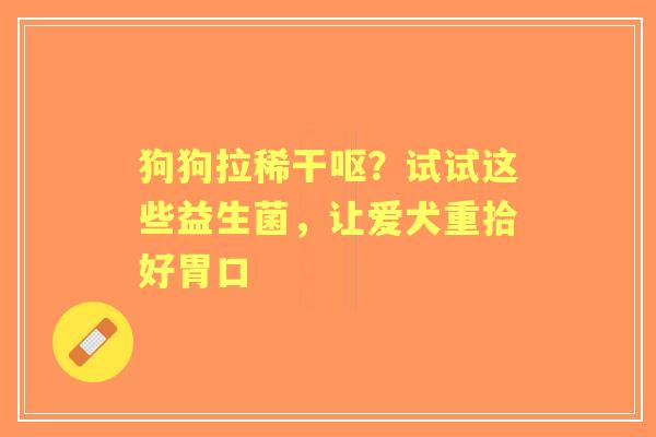 狗狗拉稀干呕？试试这些益生菌，让爱犬重拾好胃口