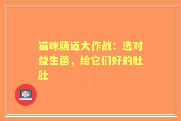 猫咪肠道大作战：选对益生菌，给它们好的肚肚
