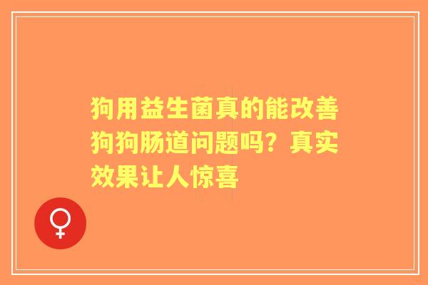 狗用益生菌真的能改善狗狗肠道问题吗？真实效果让人惊喜
