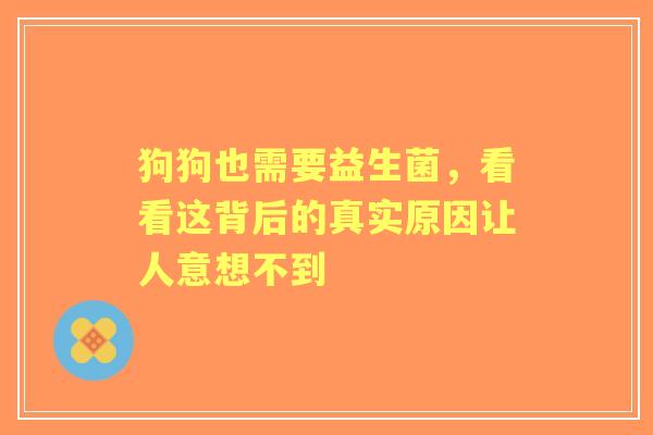 狗狗也需要益生菌，看看这背后的真实原因让人意想不到