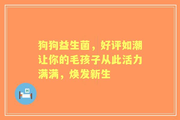狗狗益生菌，好评如潮让你的毛孩子从此活力满满，焕发新生