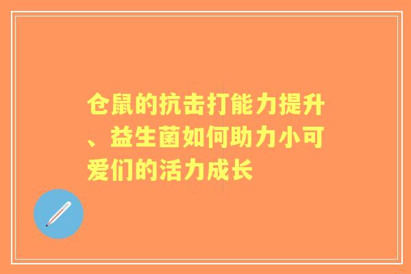仓鼠的抗击打能力提升、益生菌如何助力小可爱们的活力成长